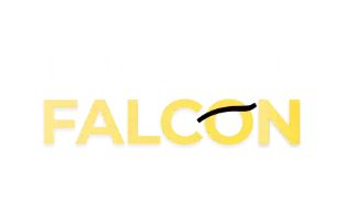 falconlivegps.com